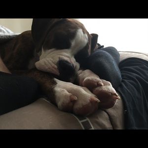 Meet your Posher, Felipe